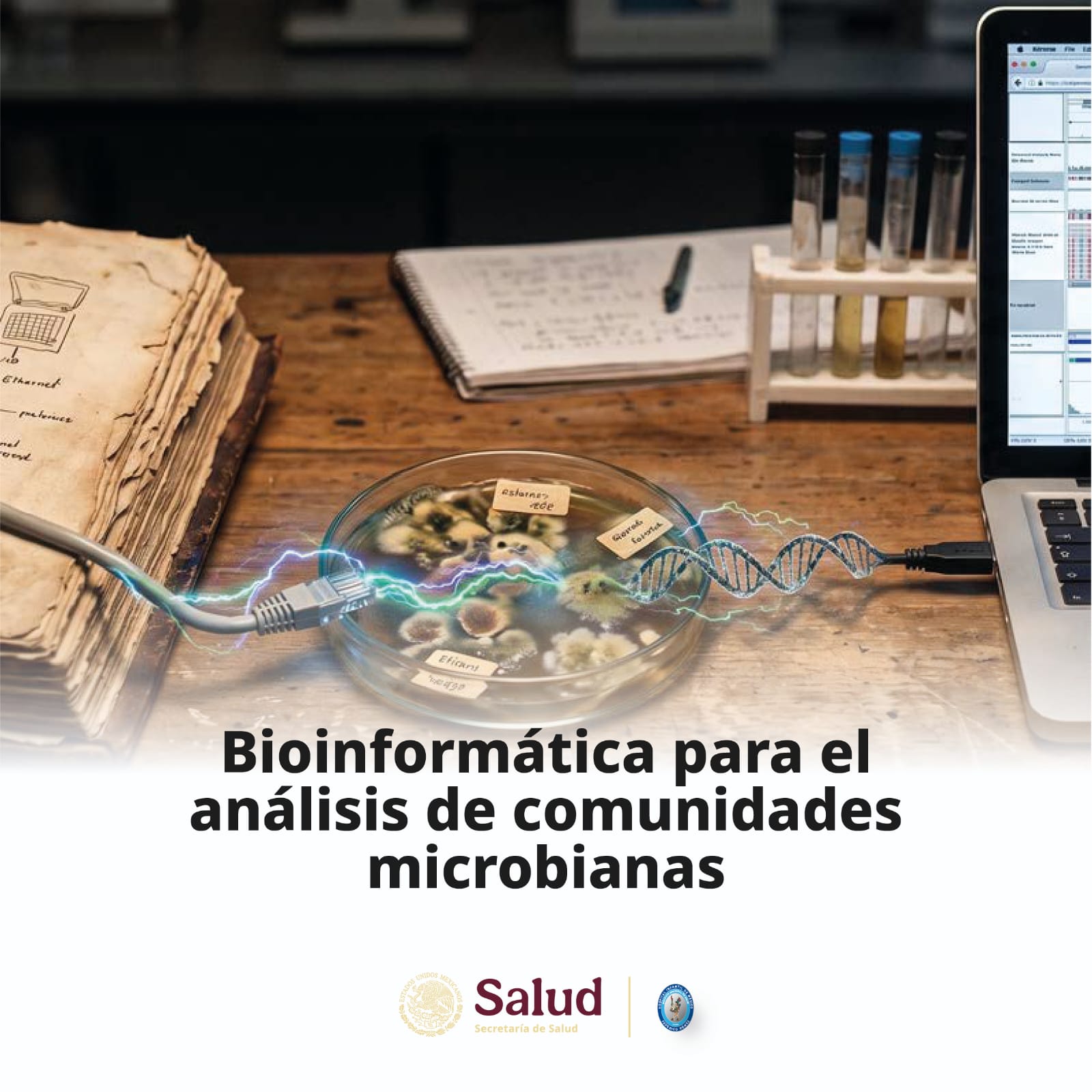 Bioinformática para el análisis de comunidades microbianas