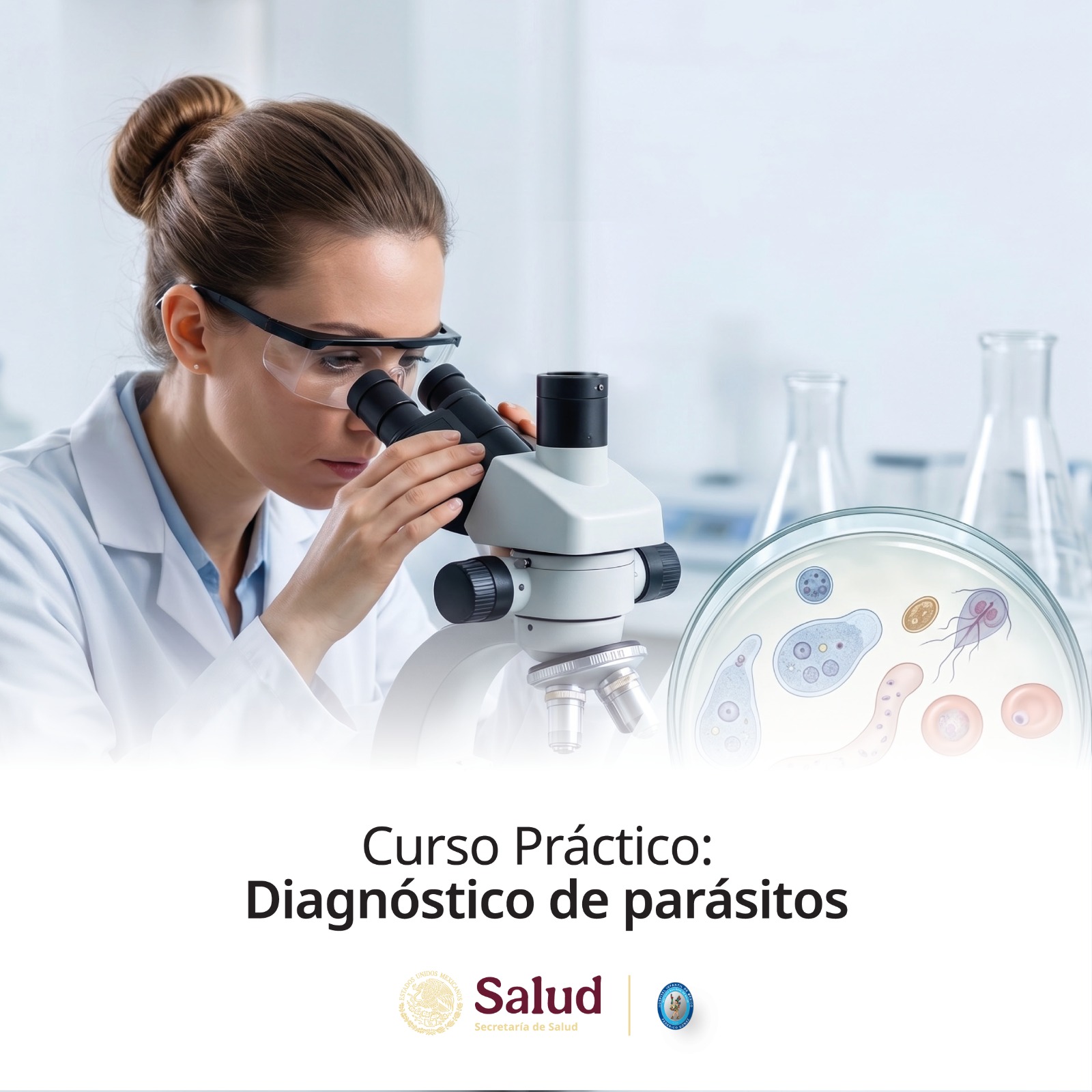 Curso Práctico: Diagnóstico de parásitos