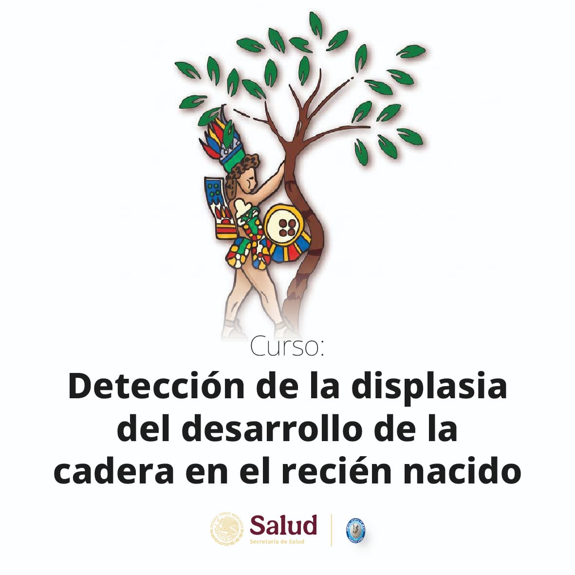 Curso de detección de la displasia del desarrollo de la cadera en el recién nacido