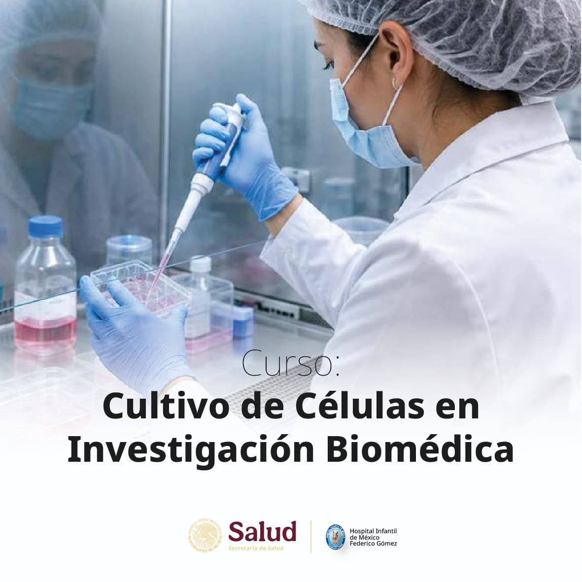 Curso: Cultivo de Células en Investigación Biomédica